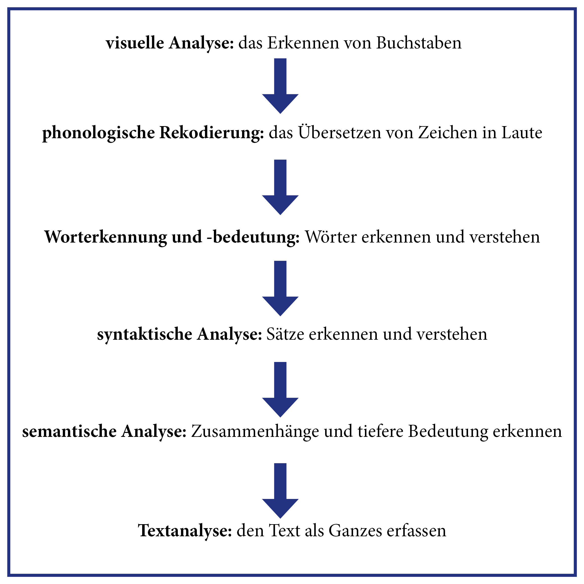 Was passiert, wenn ich lese? Foto: Rebekka Hambuch 
(nach Böhlert/Tsigaridis/Elsner S.2f.)