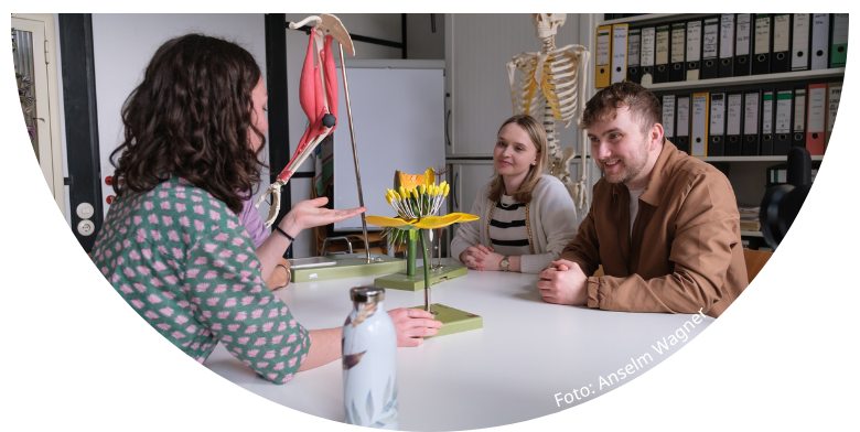 am Tisch sitzende Lernrguppe, in der Mitte eine Pflanze, im Hintergrund ein Regal mit Ordnern und ein Skelett