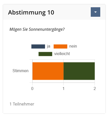 Screenshot Abstimmung