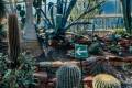 Öffnen Gebäudeführungen: Rundgang durch den botanischen Garten Marburg
